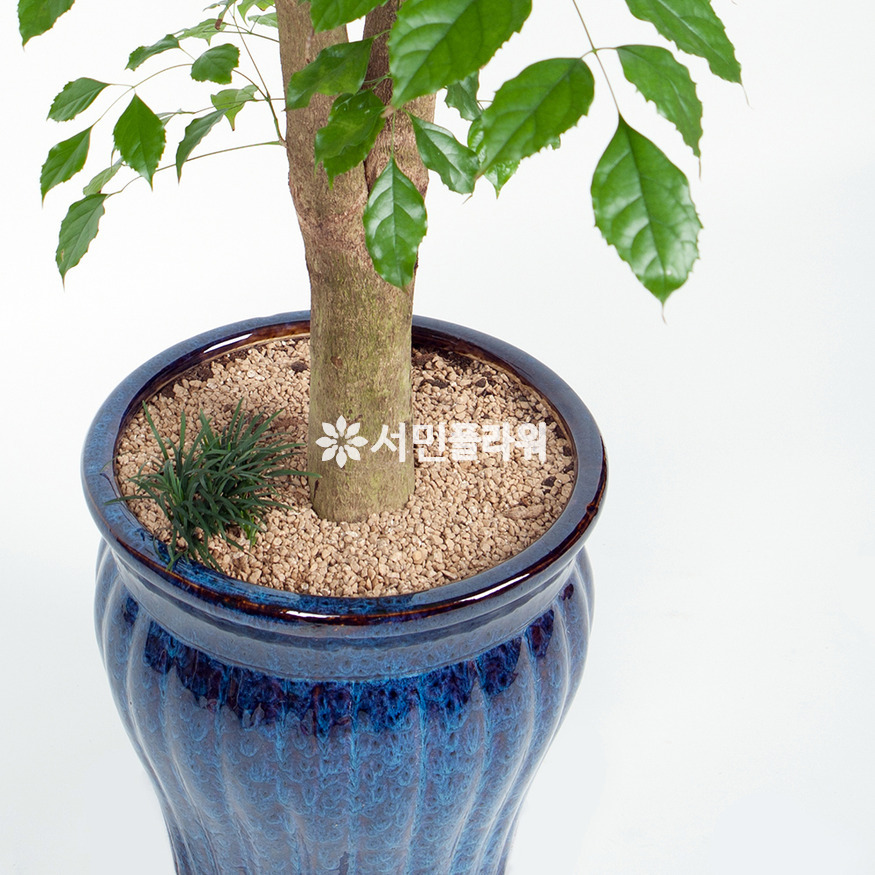 상세이미지