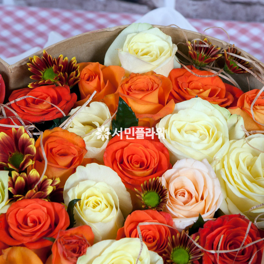 상세이미지