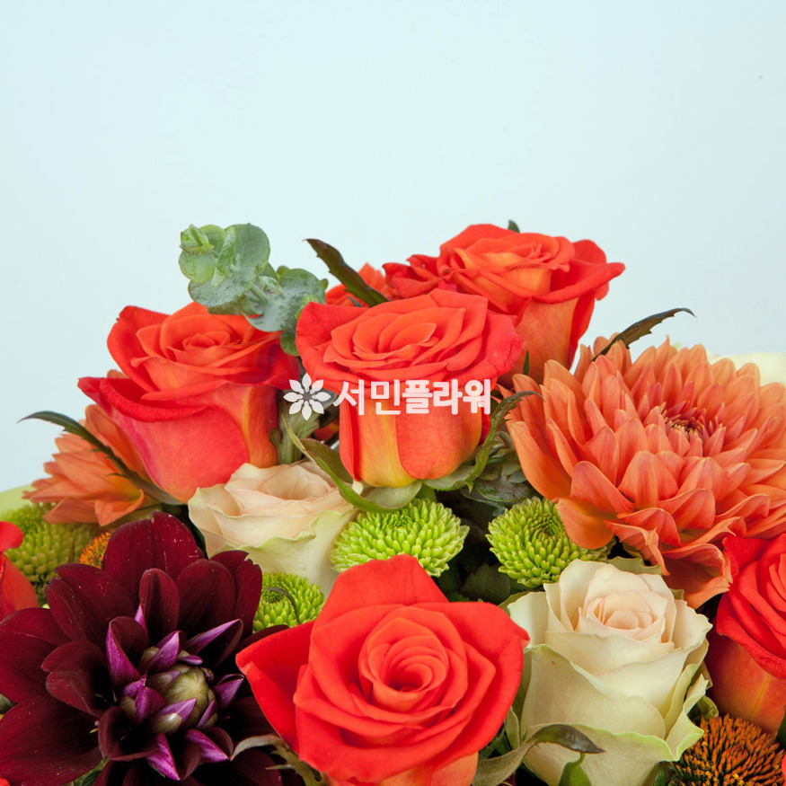 상세이미지