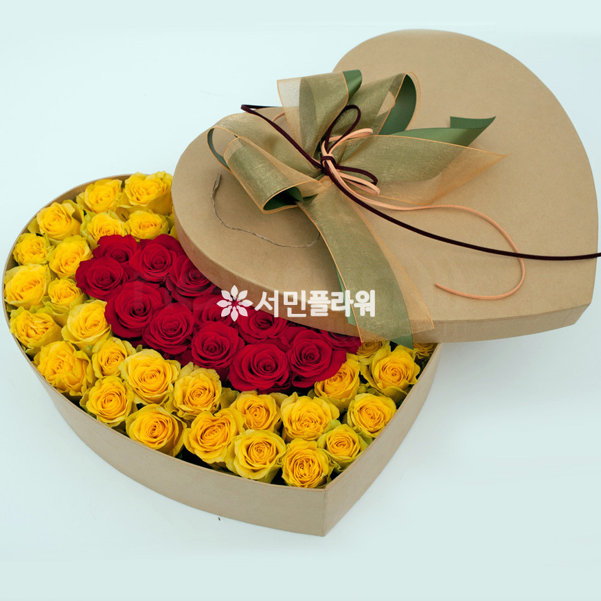 상세이미지