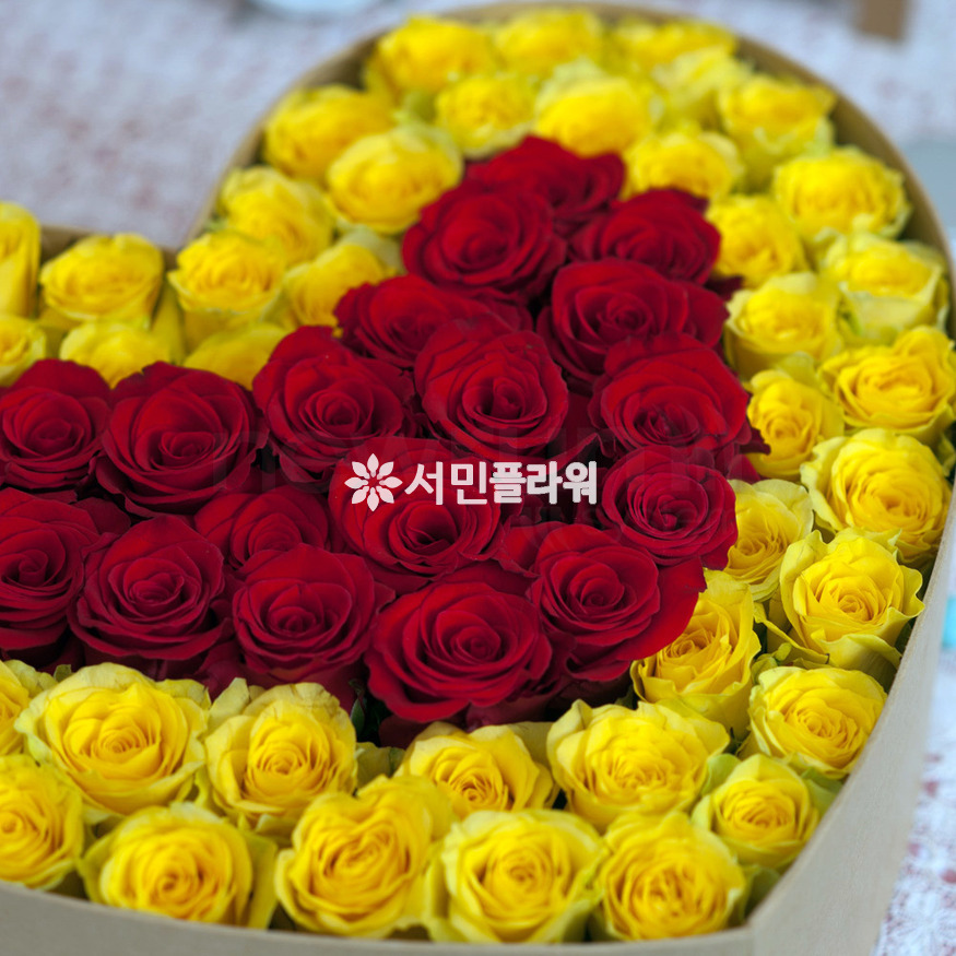 상세이미지