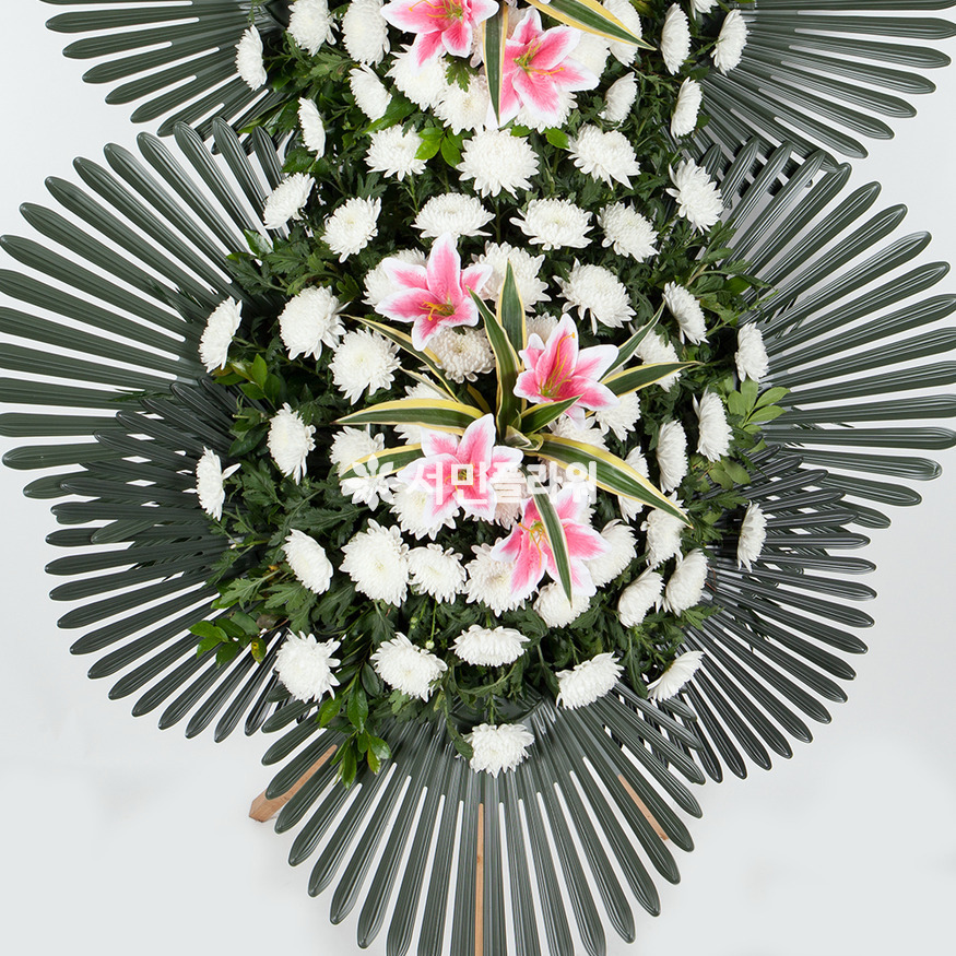 상세이미지