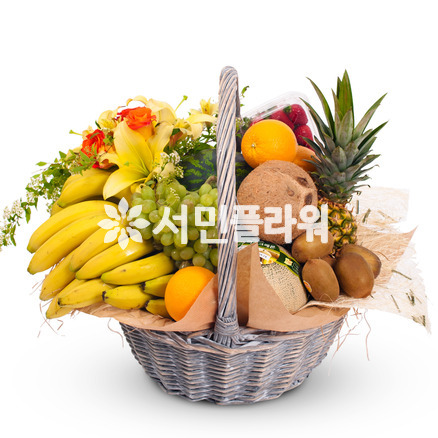 과일바구니 92s