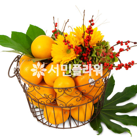 철재과일바구니