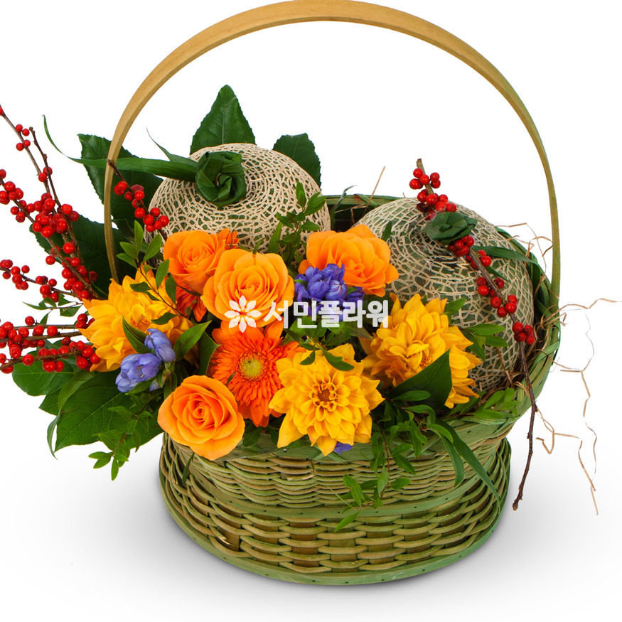 상세이미지