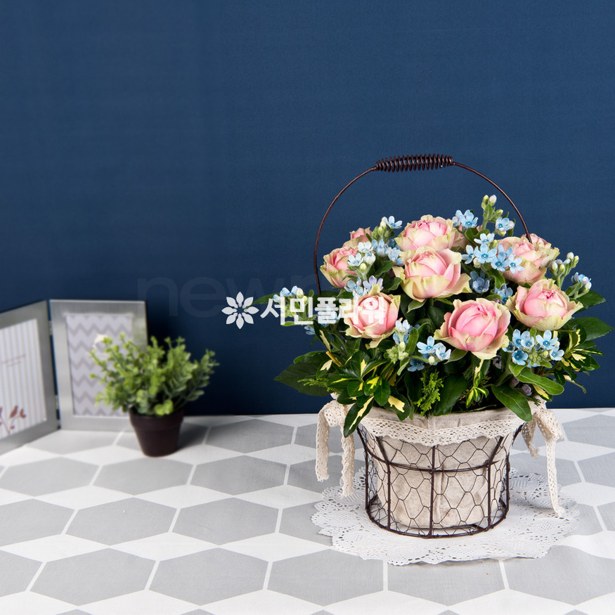 상세이미지