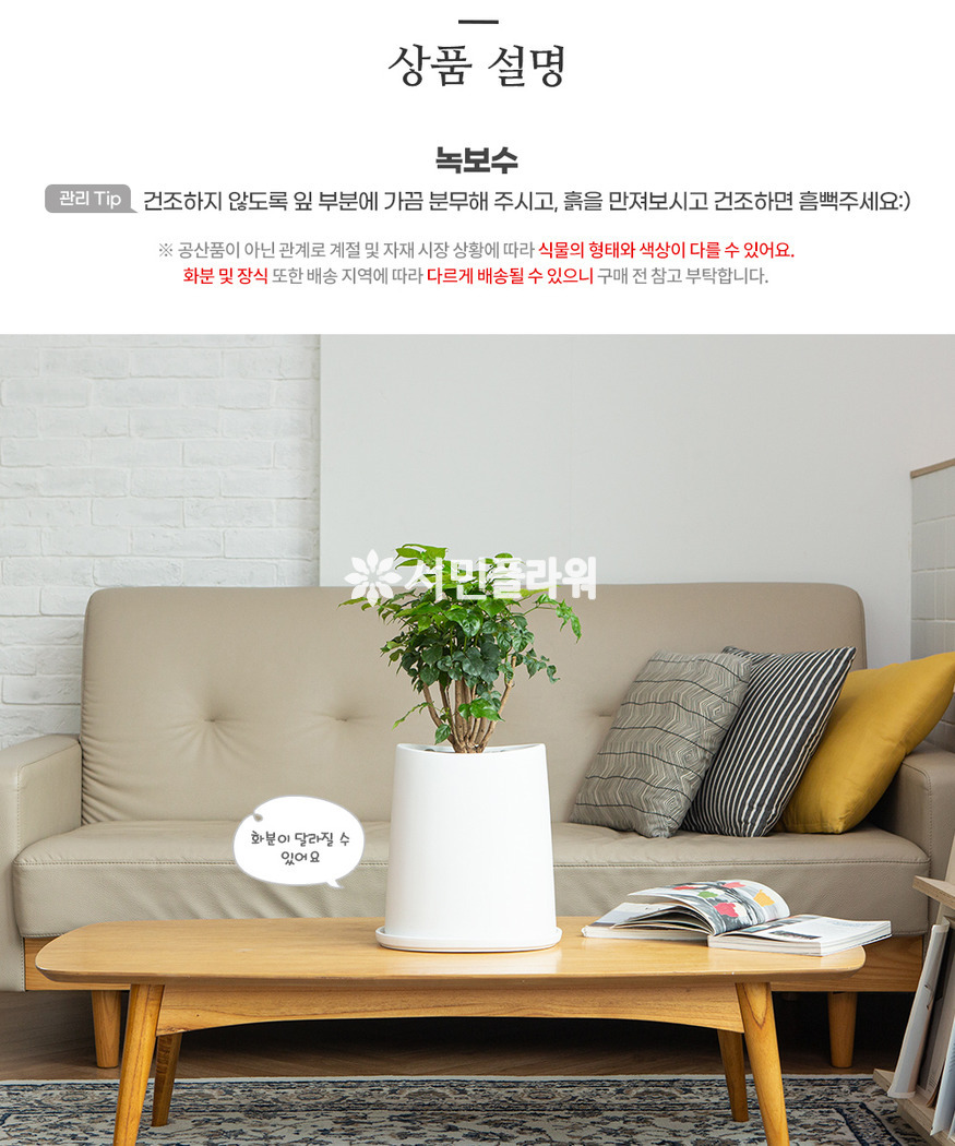 상세이미지