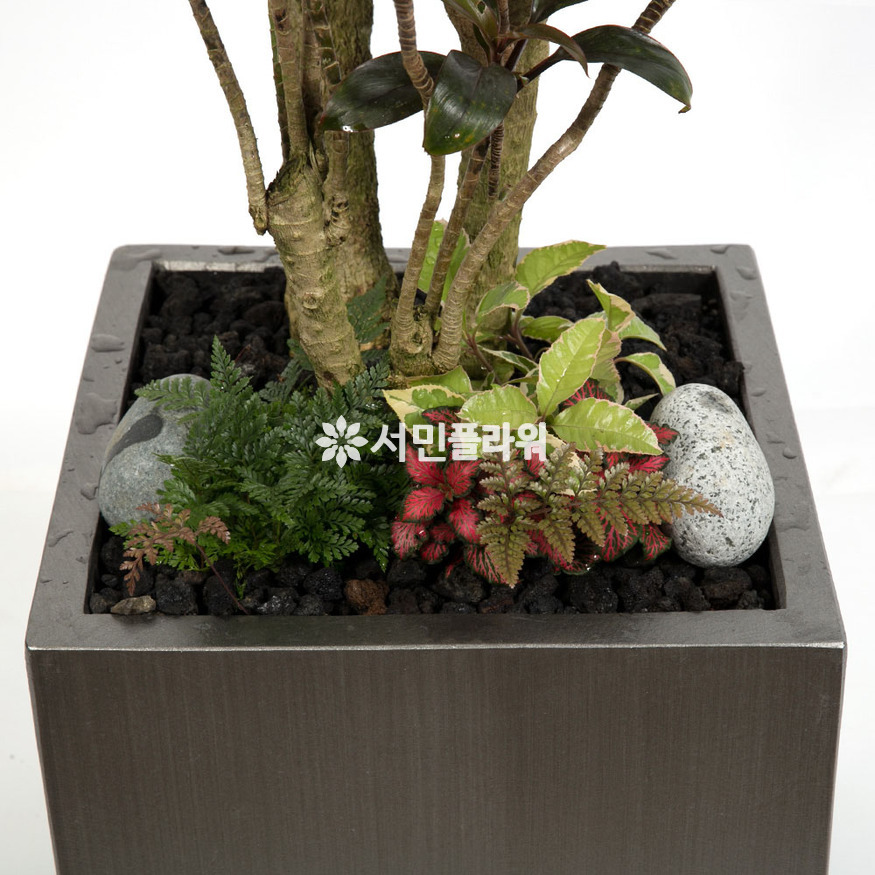 상세이미지