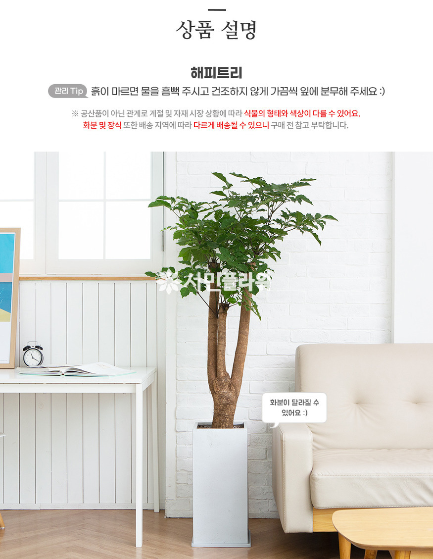 상세이미지