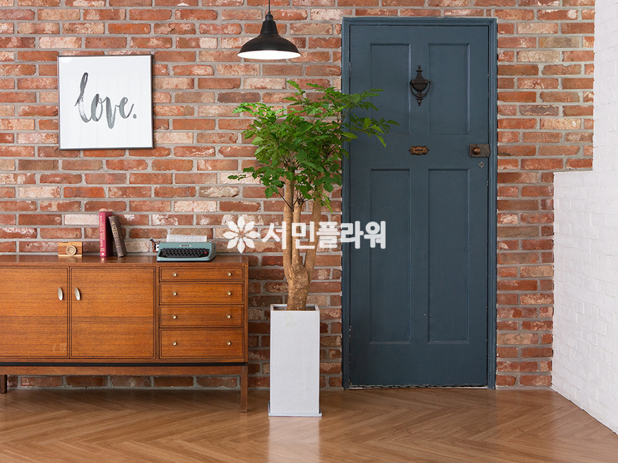 상세이미지