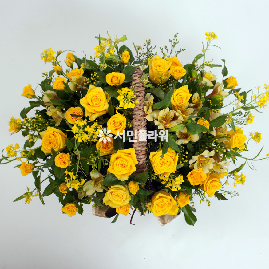 상세이미지