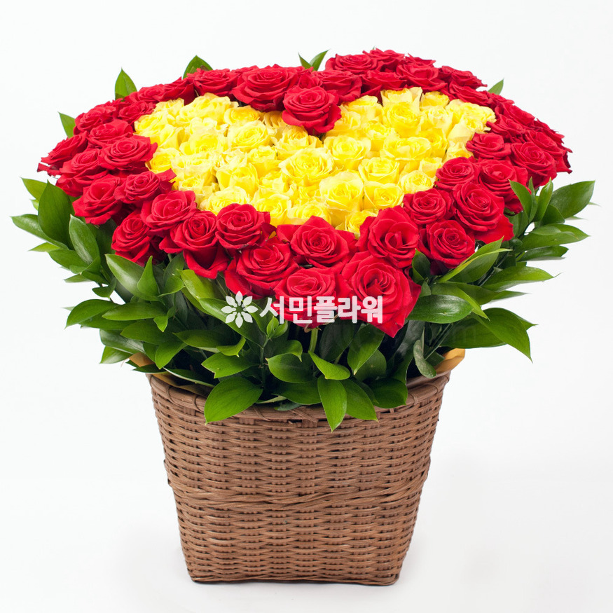 상세이미지