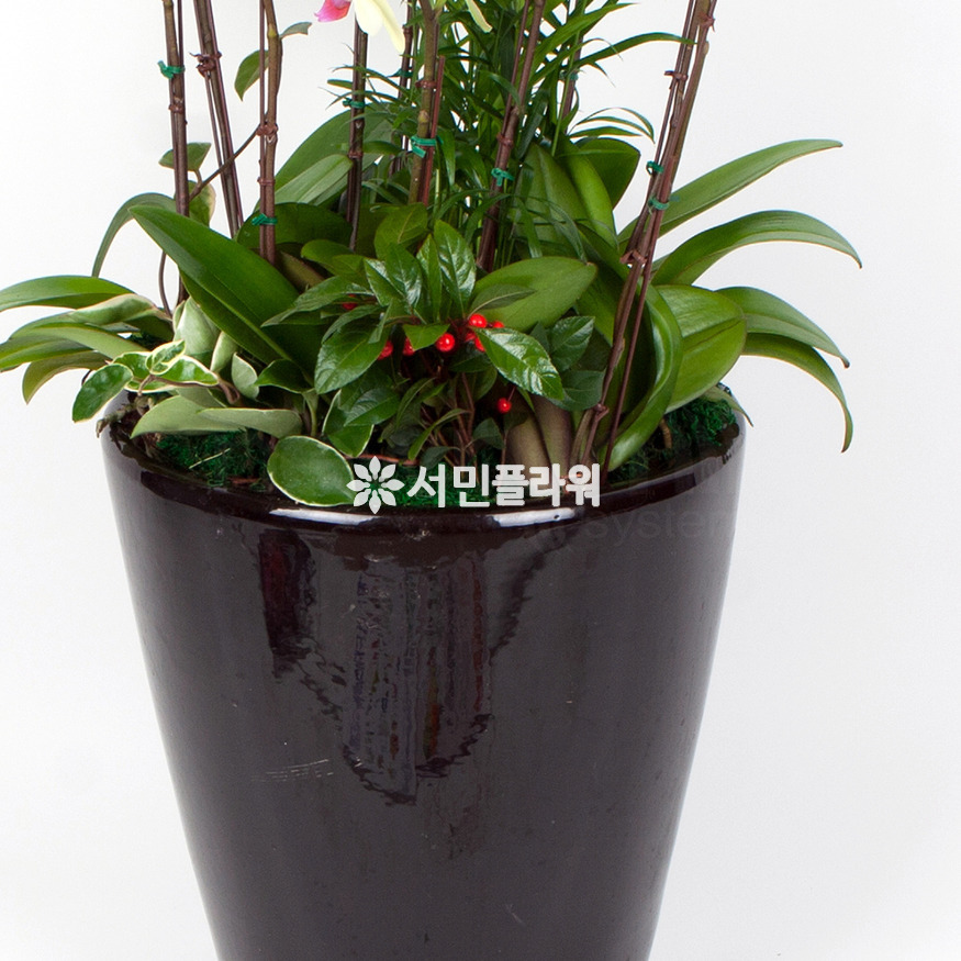 상세이미지