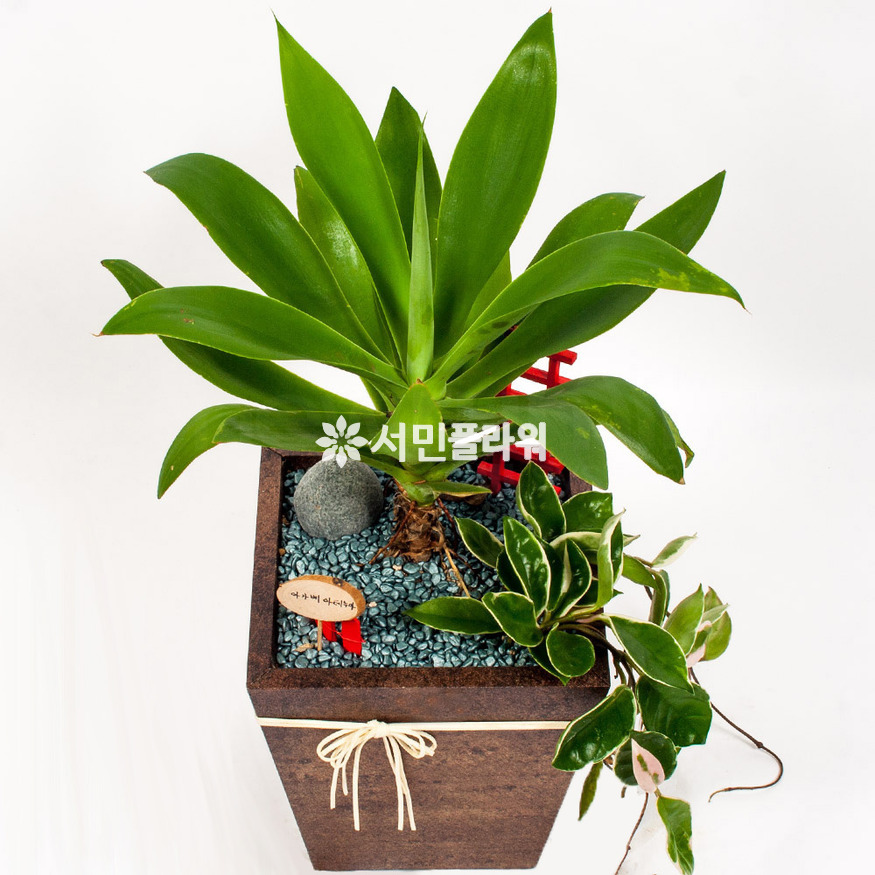상세이미지