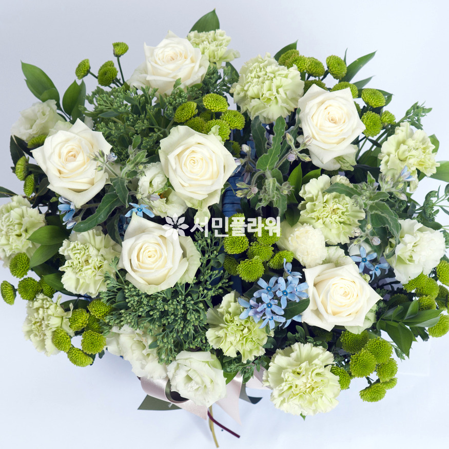 상세이미지