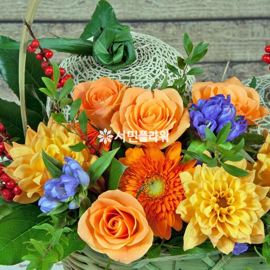 상세이미지