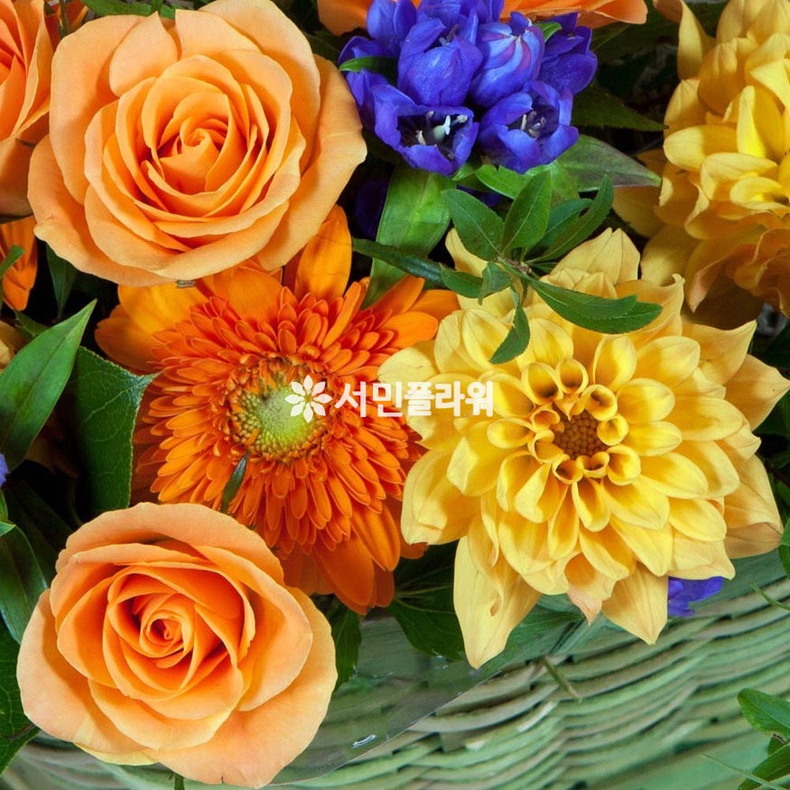 상세이미지