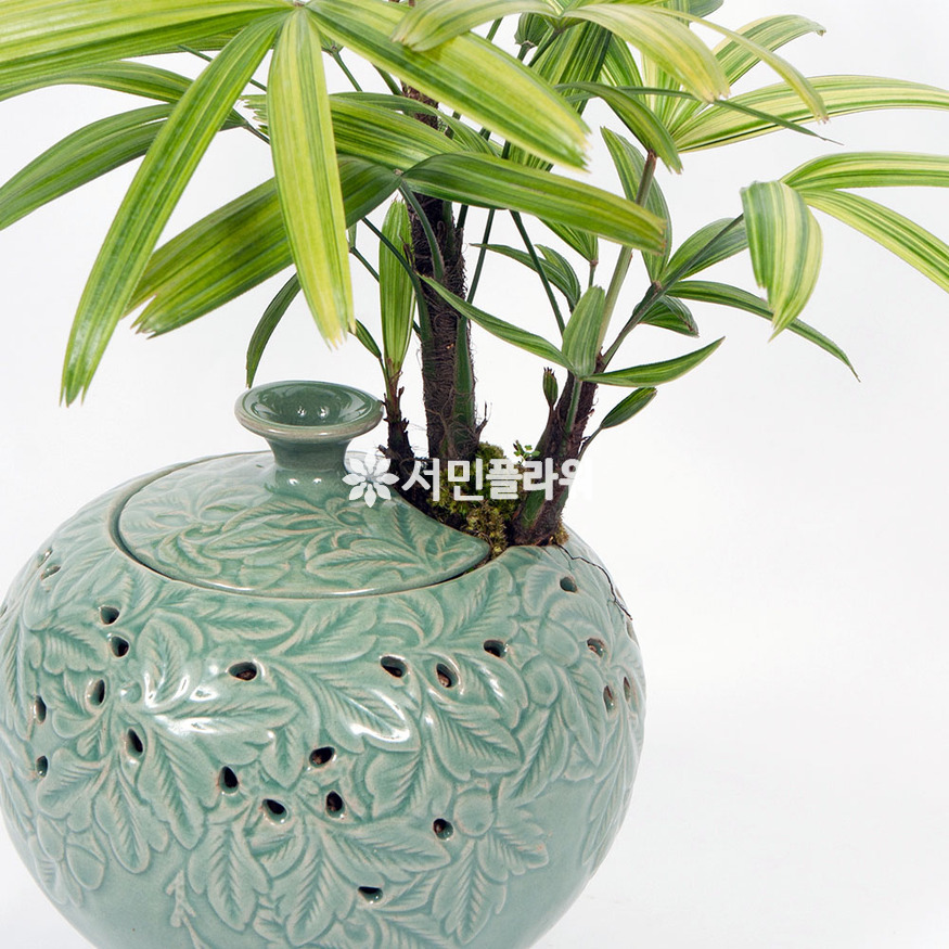상세이미지