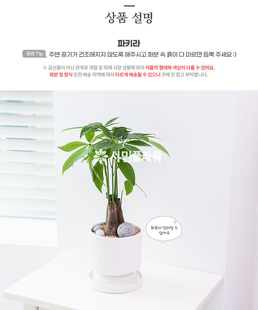 상세이미지