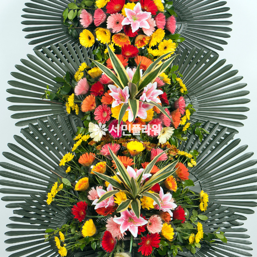 상세이미지