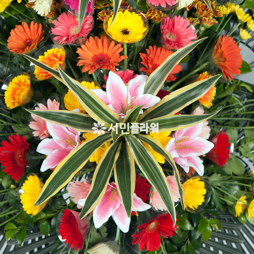 상세이미지