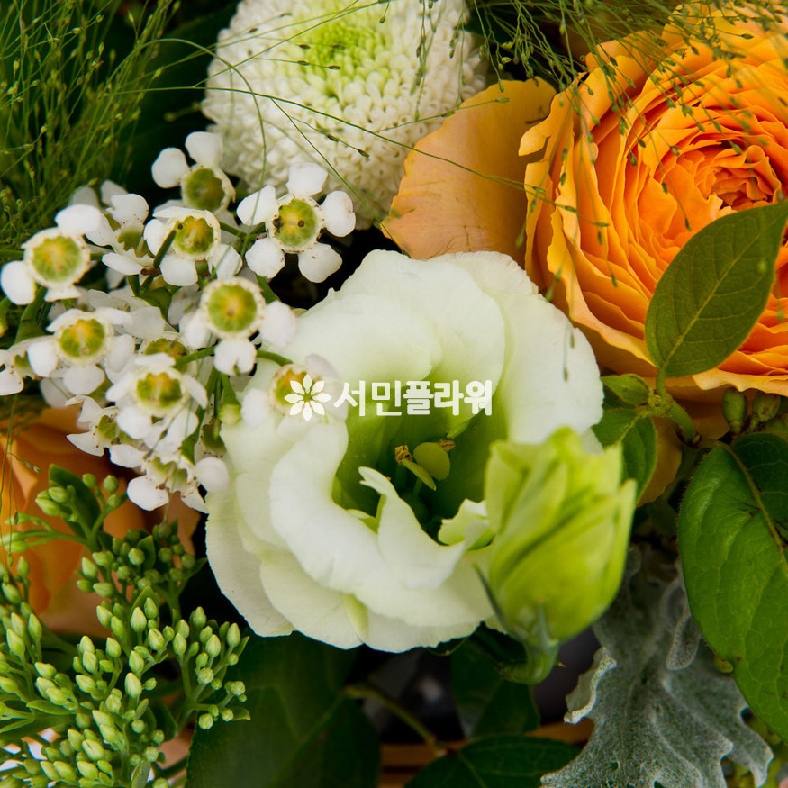 상세이미지