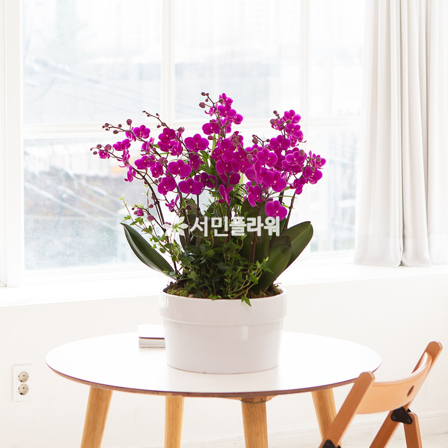 상세이미지