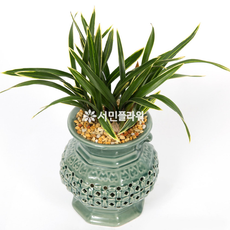 상세이미지