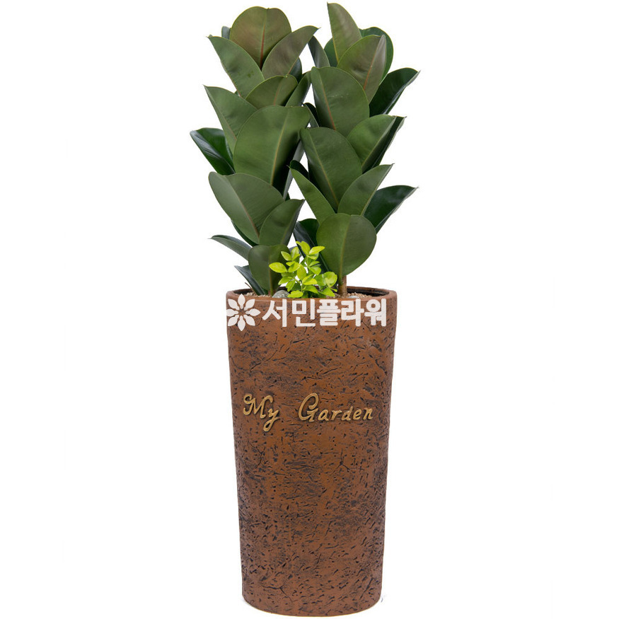 상세이미지
