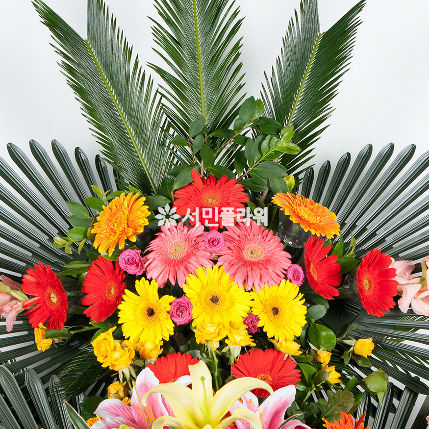 상세이미지