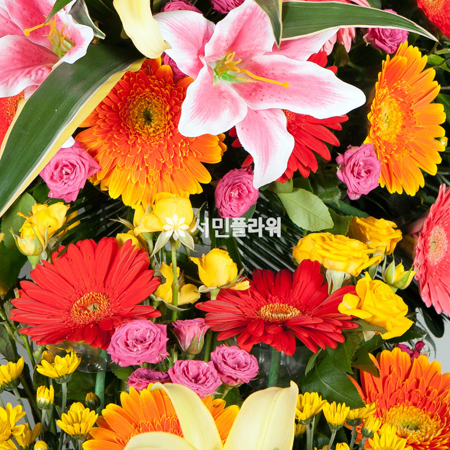 상세이미지