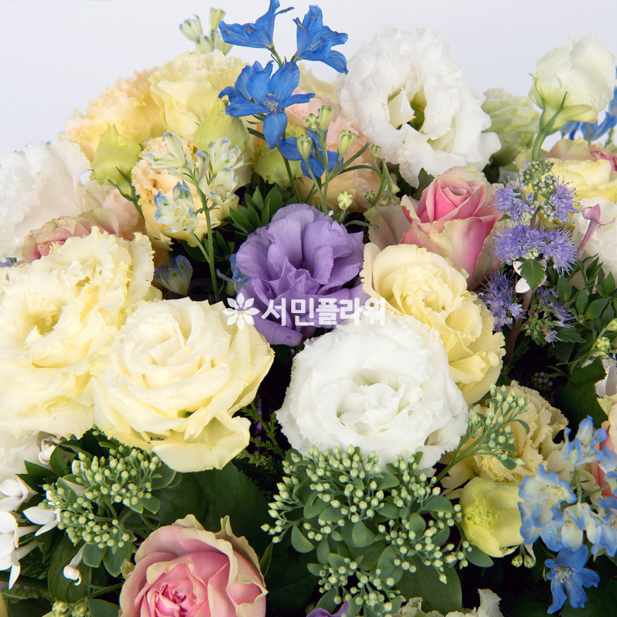 상세이미지