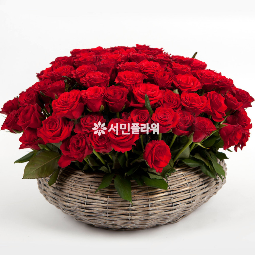 상세이미지