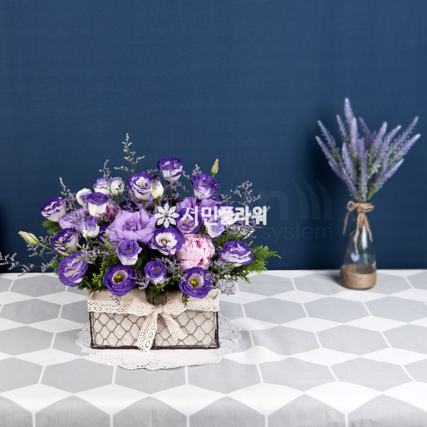상세이미지