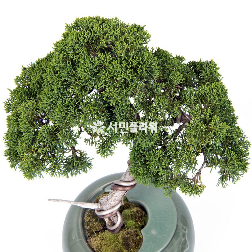 상세이미지