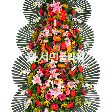 축하3단 014Q