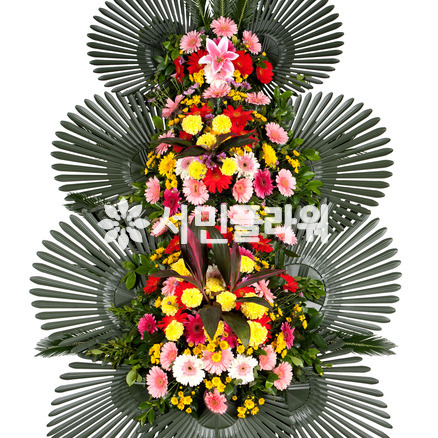 축하3단 017Q