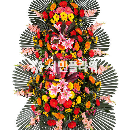 축하3단 022Q