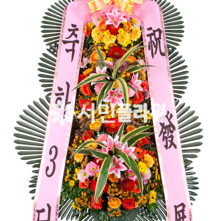 축하3단 정품