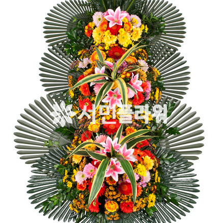 축하3단 024Q