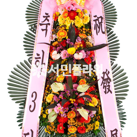 축하3단 프리미엄