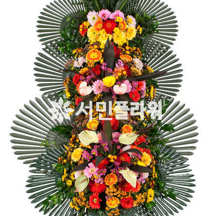축하3단 025Q