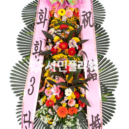 축하3단(大)