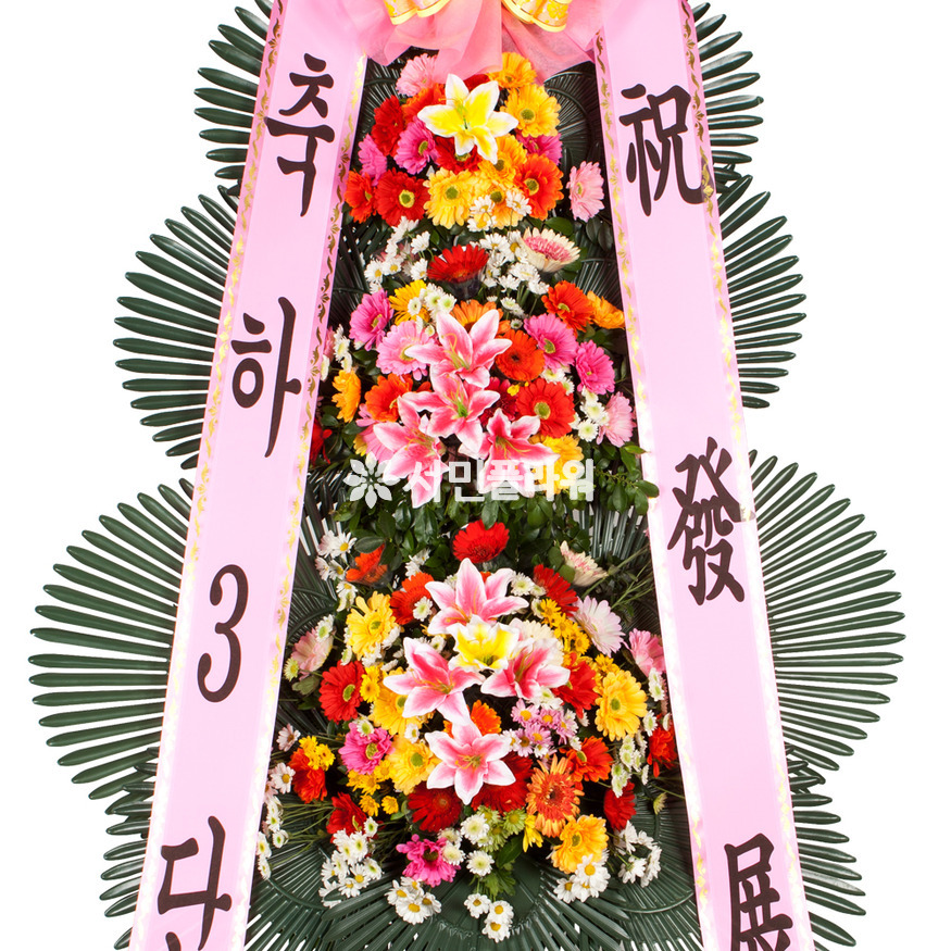 상세이미지