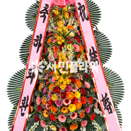 축하화환20