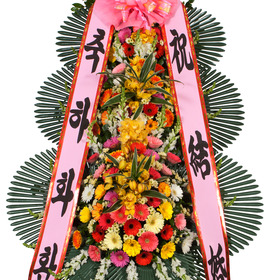 축하3단(특大)