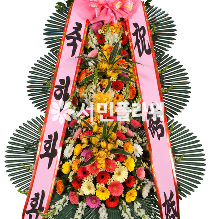 축하3단(특大)