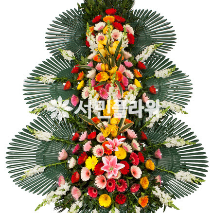 축하3단 032Q