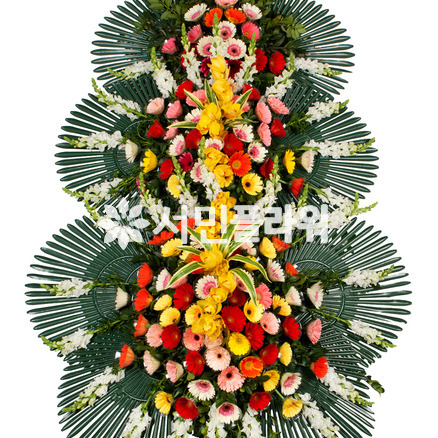 축하3단 033Q