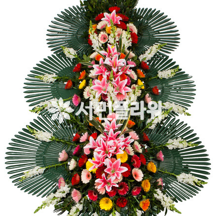 축하3단 035Q